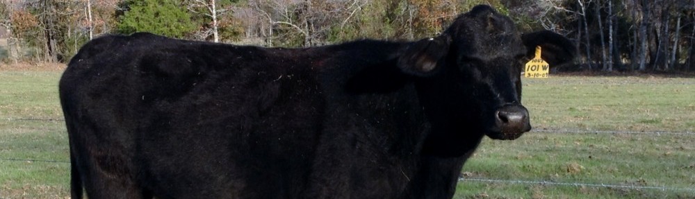 Pursifull Ranch