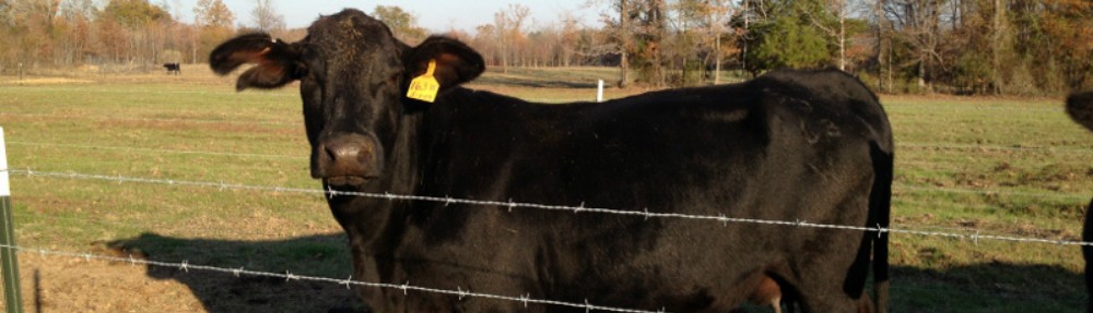 Pursifull Ranch