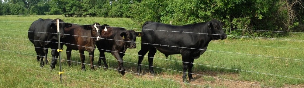 Pursifull Ranch