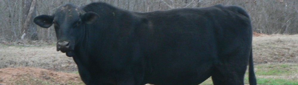 Pursifull Ranch