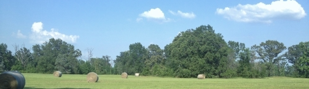 Pursifull Ranch