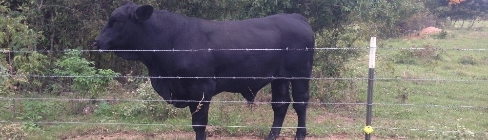 Pursifull Ranch