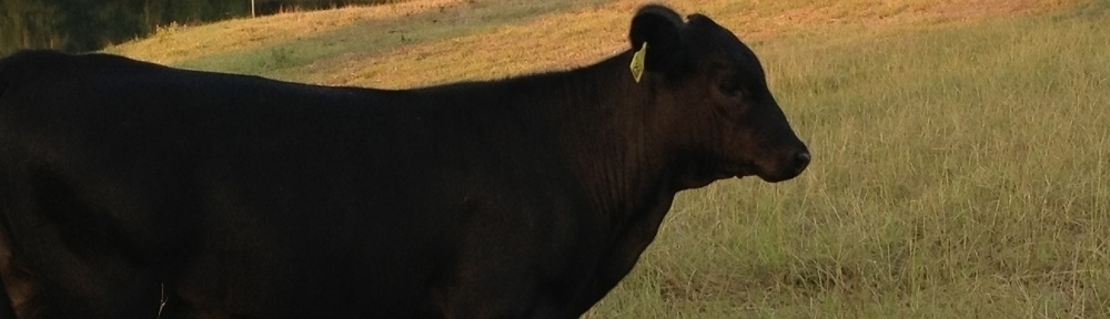 Pursifull Ranch