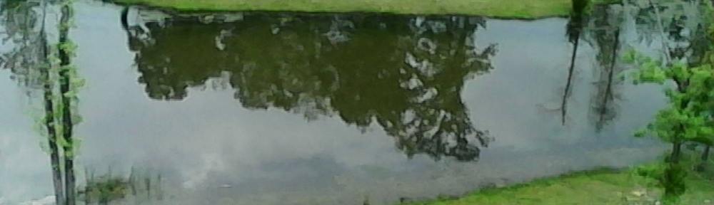 Pursifull Ranch