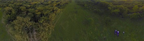 Panarama Photo of Pursifull Ranch