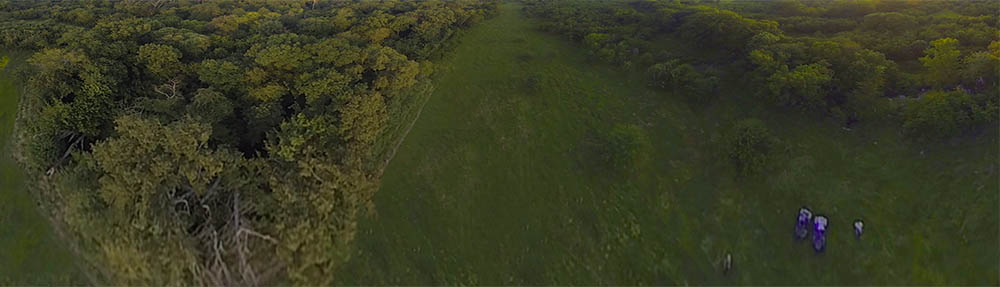 Panarama Photo of Pursifull Ranch